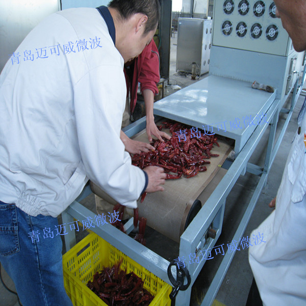 某農(nóng)產(chǎn)品加工企業(yè)：隧道式微波設備，用于辣椒及制品干燥殺菌處理